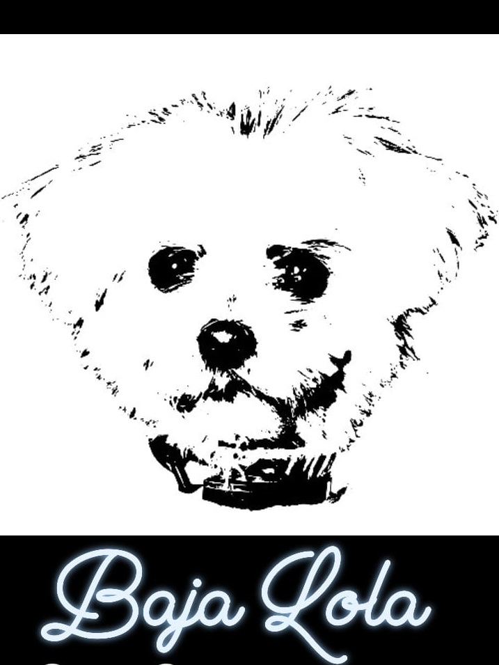 Baja Lola picture on 15